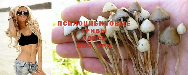 мяу мяу мука Анива